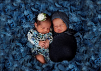 DSC_2981