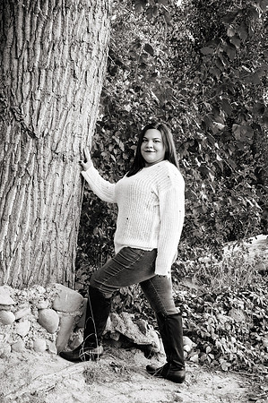 DSC_9215a