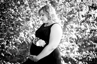 DSC_0961-1a